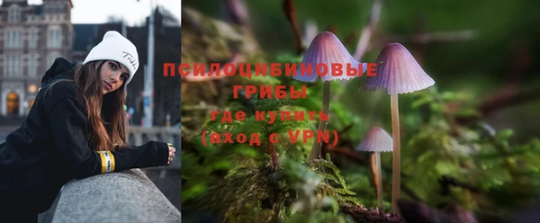 прущая мука Алзамай