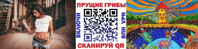 Псилоцибиновые грибы MAGIC MUSHROOMS  сайты даркнета официальный сайт  Заинск 